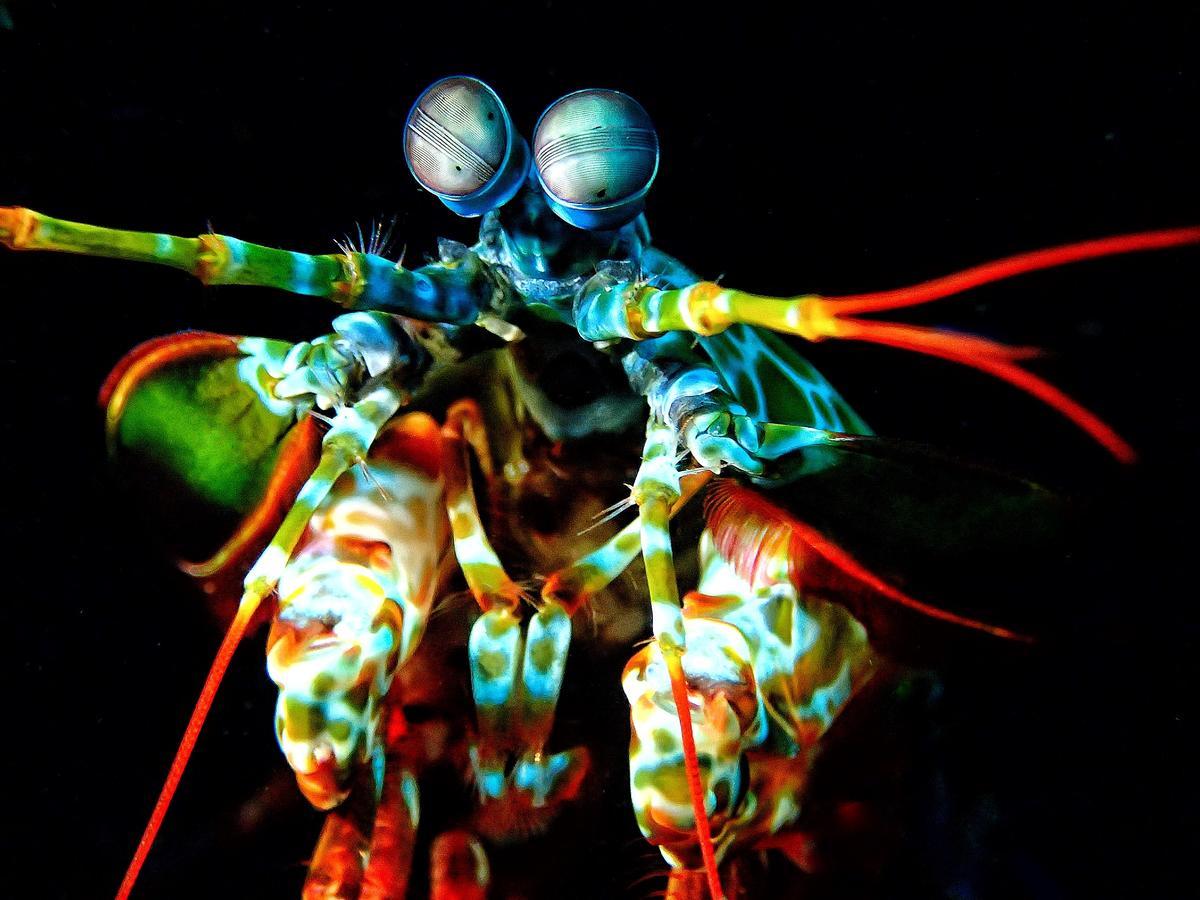 Pebble & Fins Bali Dive Resort トゥランベン エクステリア 写真